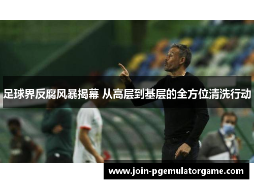 足球界反腐风暴揭幕 从高层到基层的全方位清洗行动